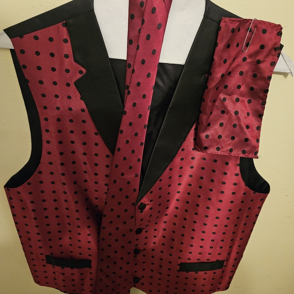Elegant Red Polka Dot Vest and Tie Set - Picture 4 of 4